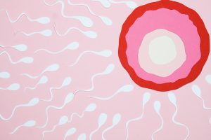 Spermatozoizii care „coopereaza” ar putea castiga mai usor cursa spre ovul
