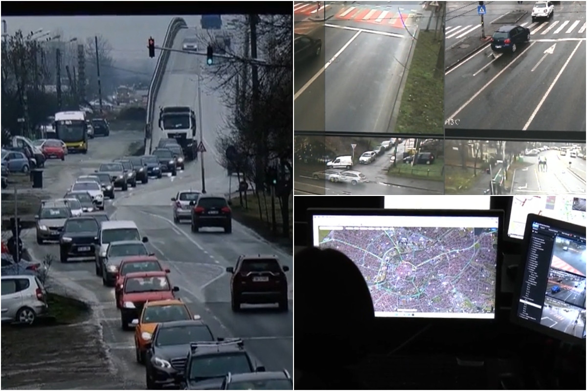 Post de „spion de trafic”, „magician pe două roţi” şi „avocat pentru blănoşi”, scos la concurs într-o primărie din România