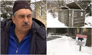 „E pericol! Nu ştii cum reacţionează” O ursoaică şi cei doi pui ai ei au semănat teroare pe străzile din Predeal