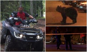 Şeful Salvamont Predeal, în stare critică după ce a fost atacat de o ursoaică pe stradă. „Pur şi simplu s-a luat după el”