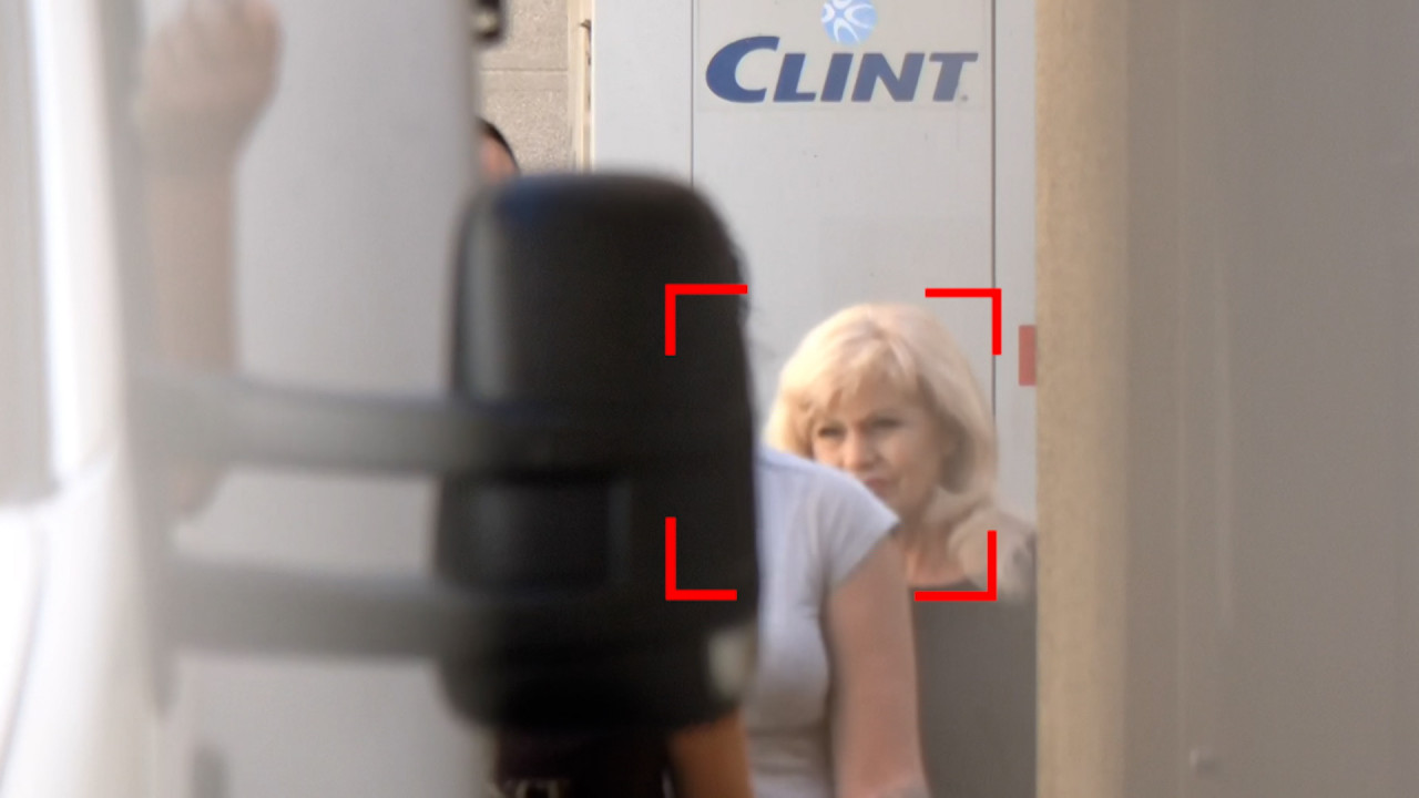 Elena Udrea a muncit trei luni în grădina închisorii: „În 4 ani de pușcărie am învățat umilinţa, răbdarea”
