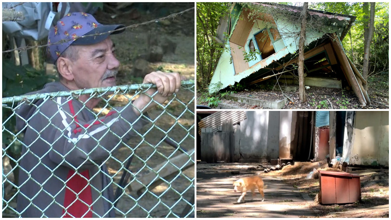 Tabăra Ciric din Iași, în paragină. Acum e casă pentru oamenii străzii şi câinii vagabonzi: „În ultimul hal”