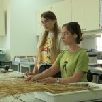 Câţi bani iau lunar studenţii care au prins posturi la internshipul de vară al facultăţii. E bătaie pe locuri