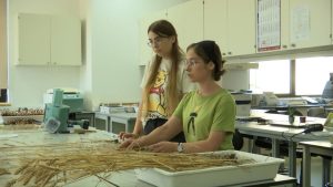 Câţi bani iau lunar studenţii care au prins posturi la internshipul de vară al facultăţii. E bătaie pe locuri