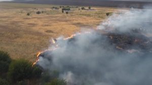 Incendii de vegetație scăpate de sub control în Mehedinți, Tulcea și Dolj: „A ars tot aici”