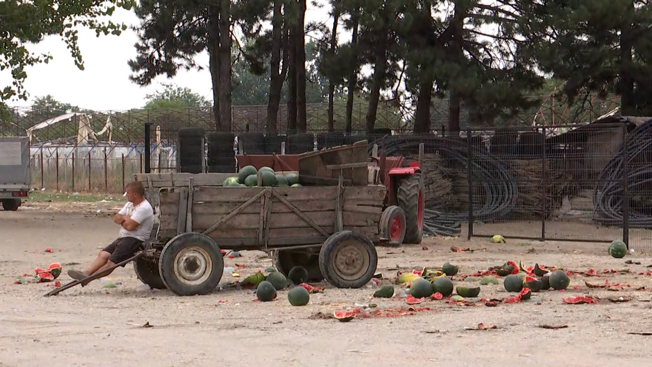 Afacerea care se apropie de colaps în România. Producătorii au nevoie de subvenţii de la stat ca să reuşească