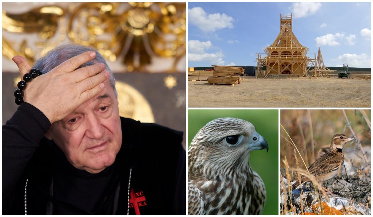 Biserica lui Gigi Becali din Techirghiol riscă să fie demolată. Sunt peste 280 de specii de păsări rare acolo