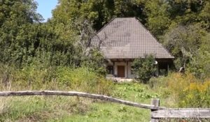 Satul în care locuiesc doar opt suflete. „Liniştea este la ea acasă. Avem toate condiţiile”
