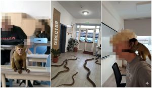 Elevii din Focșani şi-au speriat profesorii cu o maimuță creată cu AI. Gluma i-ar putea costa scump