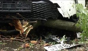 Ce opțiuni au bucureștenii care s-au trezit cu mașinile distruse de furtună
