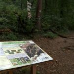 Paradisurile nimănui. Cum poate salva fuziunea agențiilor de mediu ariile natuale protejate din judeţul Brașov