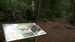 Paradisurile nimănui. Cum poate salva fuziunea agențiilor de mediu ariile natuale protejate din judeţul Brașov