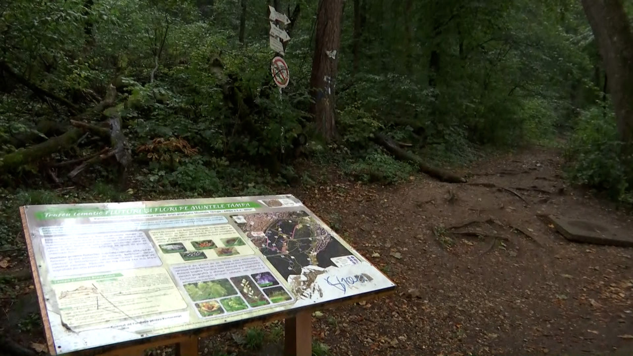 Paradisurile nimănui. Cum poate salva fuziunea agențiilor de mediu ariile natuale protejate din judeţul Brașov