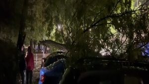 Zeci de mașini distruse de furtună în Capitală. Ce trebuie să facă şoferii ca să fie despăgubiţi