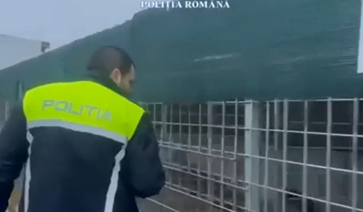 15.000 de câini, ucişi în moduri barbare: „Nu mă interesează pe mine, că nu i-au omorât în chinuri”