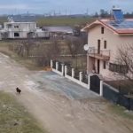 Au plătit zeci de mii de euro pe case fără utilități. Cartierul rezidențial din Constanța, fără apă sau asfalt