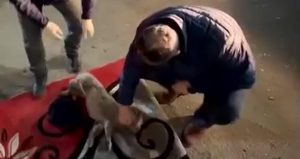 Lecţia de omenie. După ce au evacuat 70 de oameni dintr-un bloc din Vaslui, pompierii au resuscitat un câine