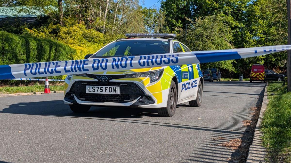 Violenta și Teroarea în Londra: O Privire Asupra Atacurilor Îndreptate Împotriva Comunității Evreiești din Golders Green