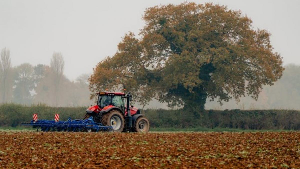 Investiții Dezastruoase în Infrastructură: 4,8 milioane de lei cheltuiți pentru un pod care a blocat agricultorii din Arad
