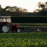 Subvenții Record pentru Fermieri: Implicațiile Deciziei Guvernului Român