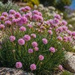 Descoperind Limba Peștelui: O Plantă Spectaculoasă pentru Grădinițele Moderne