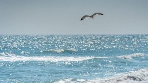 Minivacanța de 1 Mai 2026: Prețuri, Destinații și Impactul Asupra Turismului Românesc