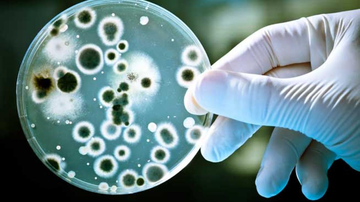 Tratamentul CAR-T: O Revoluție în Terapia Cancerului cu Rezultate Promițătoare