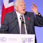 David Attenborough la 100 de ani: Lecții de viață dintr-o carieră dedicată naturii și educației