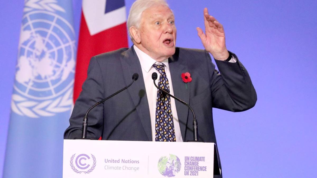 David Attenborough la 100 de ani: Lecții de viață dintr-o carieră dedicată naturii și educației