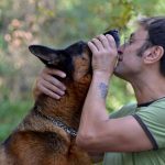Trei greșeli ale proprietarilor care afectează sănătatea animalelor de companie: O analiză aprofundată