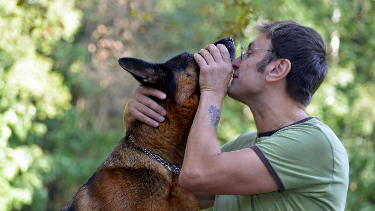 Trei greșeli ale proprietarilor care afectează sănătatea animalelor de companie: O analiză aprofundată