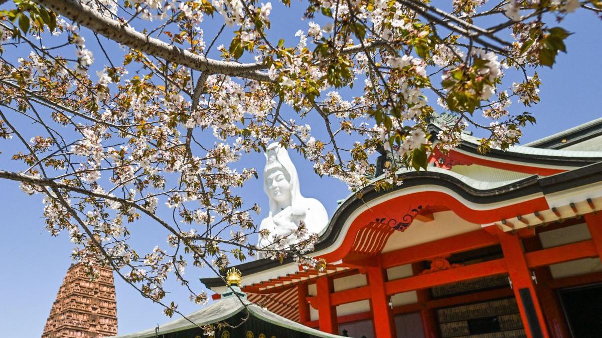 Descoperiri Astrale: Horoscopul Chinezesc pentru 3 Mai 2026 și Nativii cu Abilități de Atracție Financiară