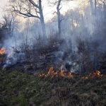 Incendiu devastator pe Valea Timișului: O analiză detaliată a impactului și intervențiilor în fața tragediilor de mediu