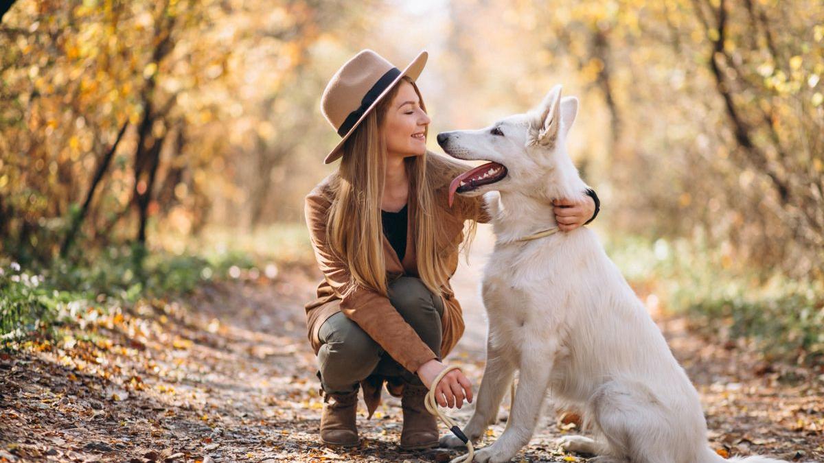 Cele Patru Zodii Care Se Dovedesc a Fi Cei Mai Buni Stăpâni de Animale de Companie