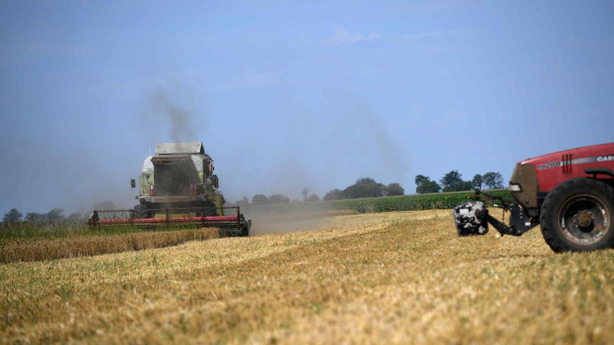 Impactul Acordului Mercosur asupra Firmelor Mici: Ce Urmează pentru Economia României?