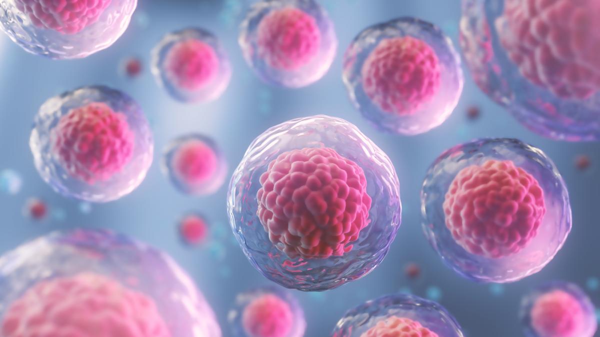 Cancerul ovarian: o amenințare tăcută care costă vieți