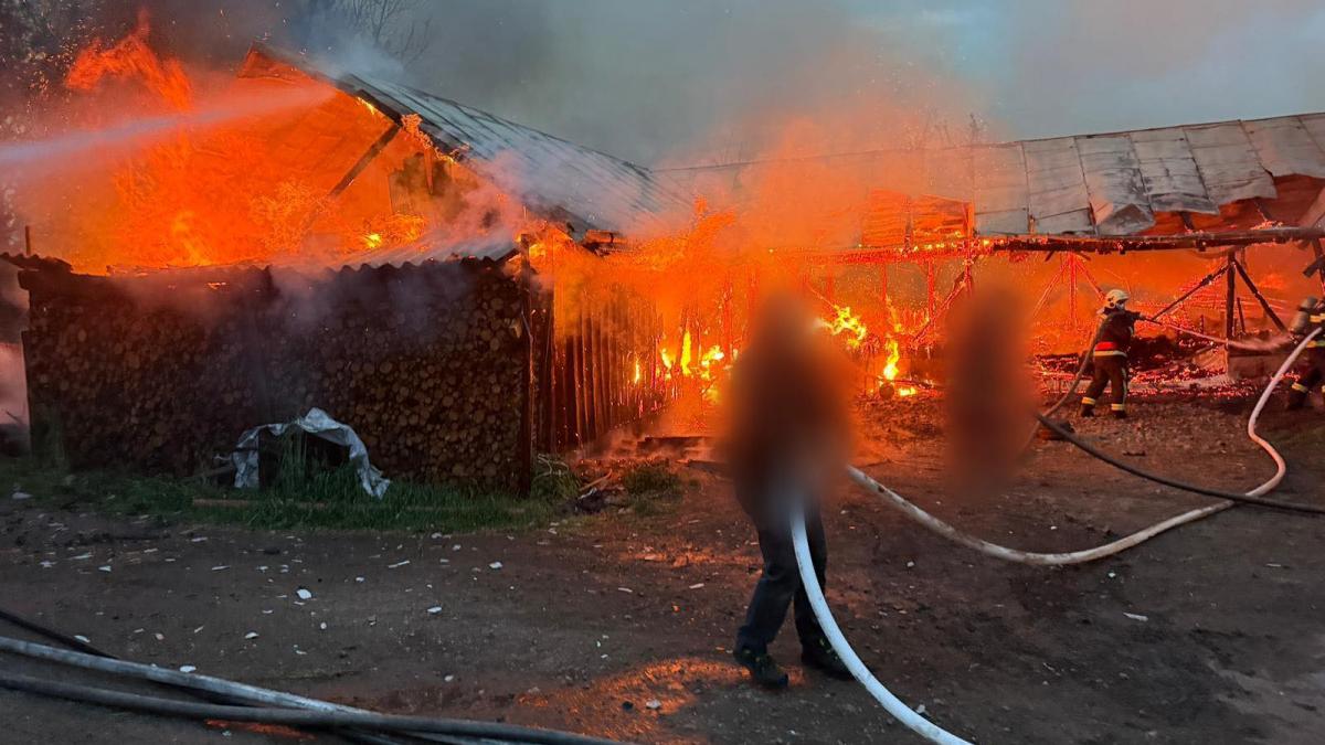 Incendiu devastator în Frătăuții Vechi: Impactul asupra comunității și al adăposturilor de animale