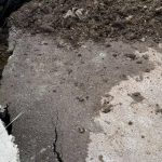 Alunecarea de teren din Vaslui: O tragedie care scoate la iveală vulnerabilitățile infrastructurii românești