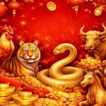 Zodiile Chinezești și Veștile Excelente: O Analiză Detaliată a Impactului Astrologic din 11 Mai 2026