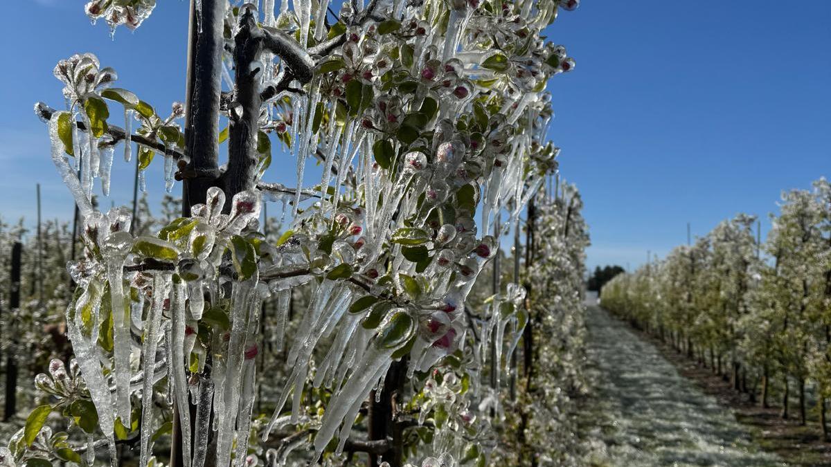 Impactul blocării celor 200 de milioane de euro din Fondul de Risc pentru Agricultură: O analiză detaliată