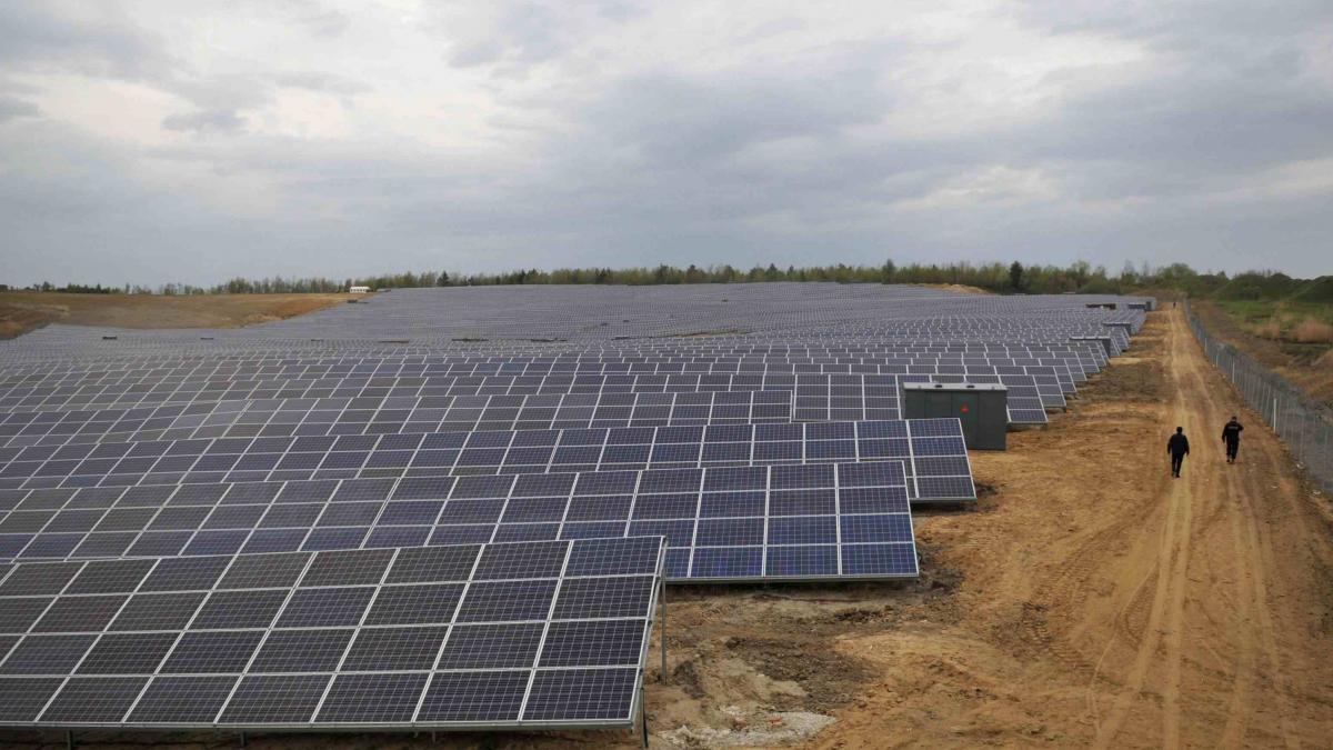 Transformarea câmpurilor agricole în energii verzi: Impactul legiferării concesionării terenurilor de către Ilie Bolojan