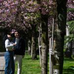 Schimbări majore în educație și sănătate: Impactul deciziilor recente asupra societății românești