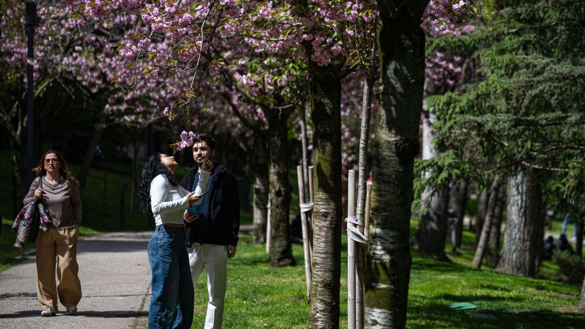 Schimbări majore în educație și sănătate: Impactul deciziilor recente asupra societății românești