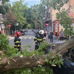 Impactul vântului puternic asupra Bucureștiului și Ilfovului: O analiză detaliată a efectelor și provocărilor