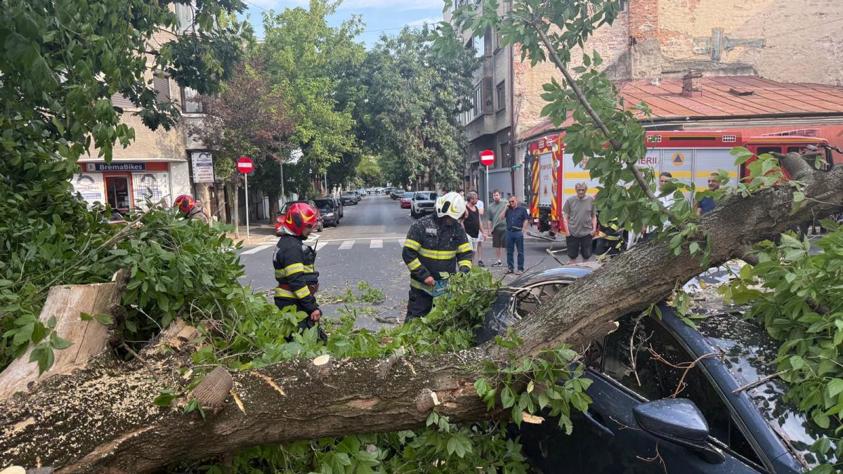 Impactul vântului puternic asupra Bucureștiului și Ilfovului: O analiză detaliată a efectelor și provocărilor