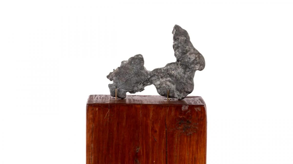 Brâncuși la Licitație: O Privire Detaliată asupra Figurinei „Le Crocodile” și Valoarea sa Culturală