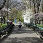 Vreme Schimbătoare în România: Impactul Variabilității Climaticului Asupra Societății și Economiei