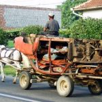 Inovație în gestionarea deșeurilor: sistemul electronic de trasabilitate pentru reciclarea deșeurilor municipale