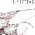 Expoziția „Insectarium”: O explorare fascinantă a lumii insectelor la Muzeul Național de Artă Timișoara