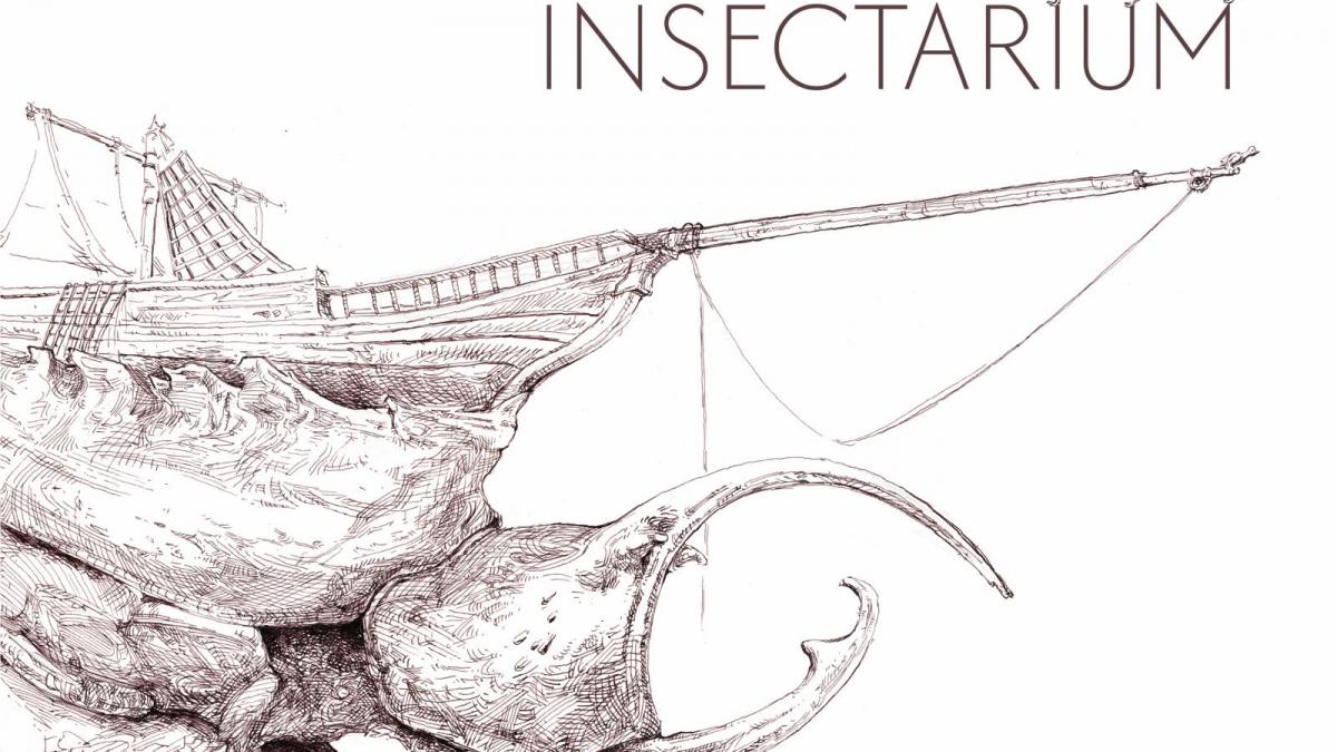 Expoziția „Insectarium”: O explorare fascinantă a lumii insectelor la Muzeul Național de Artă Timișoara